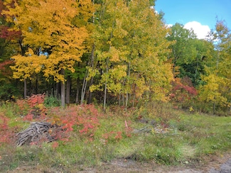 74016 Ridgeway, Lawton, MI 49065