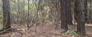 275 Pushapatapa Rd, Tylertown, MS 39667