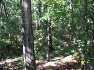 0 Burginville R Burginville Rd, Buena Vista, GA 31803