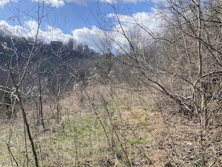 0 Rutherford Ln Unit RTC2671114, Smithville, TN 37166