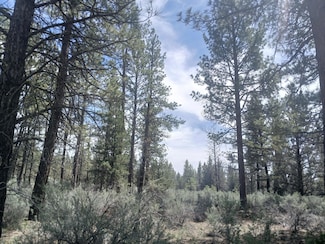 0 Moccasin Ln Unit Lot 13 220202994, Chiloquin, OR 97624