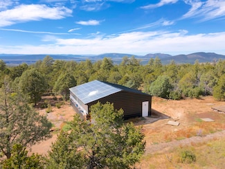 Tract B Forest Road 493, Lama, NM 87529