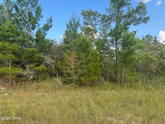 0000 Country Club Blvd, Chipley, FL 32428