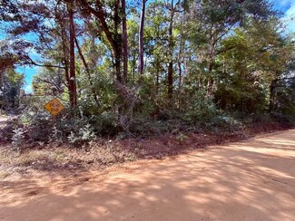 0 Warpath Dr Unit 10488325, Livingston, TX 77351