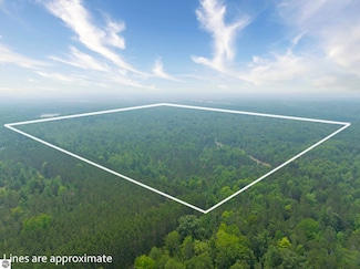 00 Shady Ln NE, Kalkaska, MI 49646