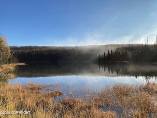 20854 E Tov Ave, Talkeetna, AK 99676