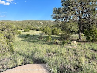 00 Barber St, Nogal, NM 88341