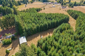 0 Xx Markley St, Raymond, WA 98577