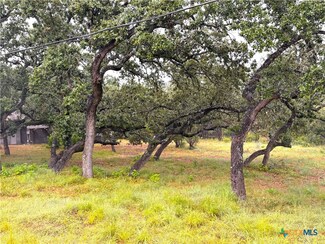 1220 Lakeside Dr E, Canyon Lake, TX 78133