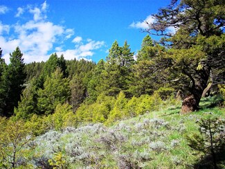 NHN Lot 1 Butler Hill, White Sulphur Springs, MT 59645