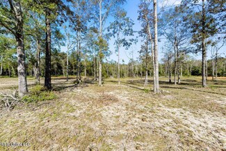 43 & 44 Holden Dr, Vancleave, MS 39565