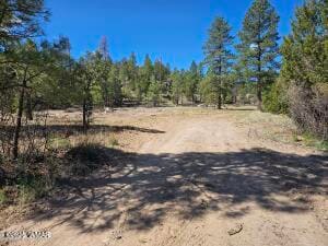 3326 Black Canyon Rd, Heber-Overgaard, AZ 85928