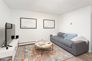 424 Park Cir Unit B, Aspen, CO 81611