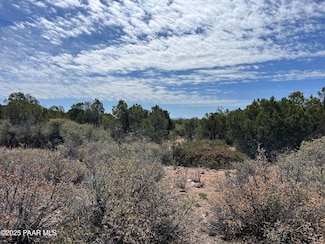 42 N Puma Dr, Kingman, AZ 86401