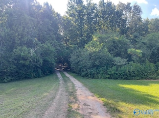 25 acres Meltonsville Rd, Guntersville, AL 35976