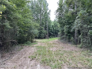 0 Stovall Ln, Summit, MS 39666
