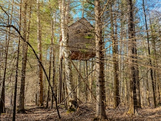V/L Merwin Creek Rd, Gulliver, MI 49840