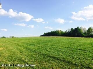 35 Rocky Hill Estates Rd, Clarkson, KY 42726