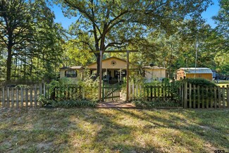 264 County Road 2169, Quitman, TX 75783