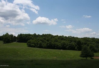 TBD Clint Ln, Meadows of Dan, VA 24120