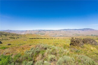0 LOT 21 Long Draw Rd, Orondo, WA 98843