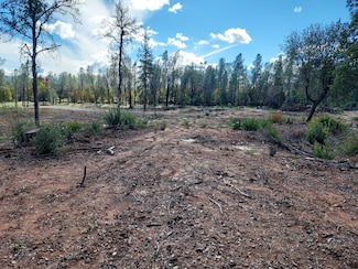 3082, 3060 Keswick Dam Rd, Redding, CA 96003