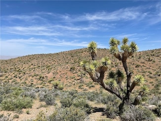 0 N Salt Springs Rd Unit 1242, White Hills, AZ 86445