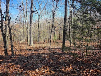 L11,B5 Wasatch Trail, Cherokee Village, AR 72529