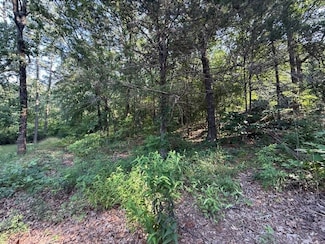 0 Needles Ct, Dardanelle, AR 72834
