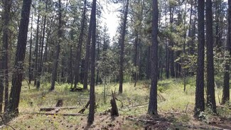 Lot 4 55XX Rocky Top Way, Deer Park, WA 99006