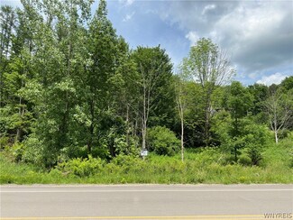 0 Maples Rd Unit B1542925, Mansfield, NY 14755