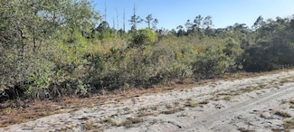 307 Indian Lake Dr, Lake Wales, FL 33855