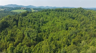 000 Old Vashti Rd Unit 2, Taylorsville, NC 28681