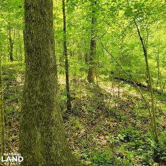 0 County Road 149 Unit 25555187, Sycamore, AL 35149