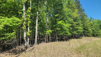 185,189,193 Winding River Rd, Eatonton, GA 31024