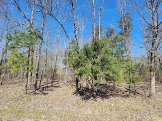 111 Tree Lakes Ct, Searcy, AR 72143