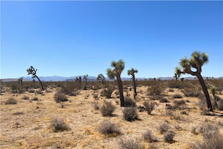 2814 Yucca Mesa Rd, Yucca Valley, CA 92284