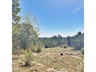 3877 Sunset Ridge Loop, Happy Jack, AZ 86024