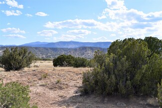 3 Private Drive 1614a, Medanales, NM 87548