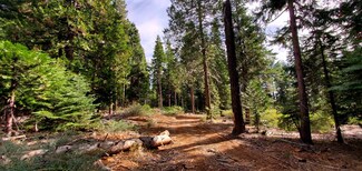 0 Buckthorn Unit 225083587, Nevada City, CA 95959