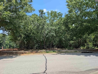 1060 Coogler Crossing Dr, Blythewood, SC 29016