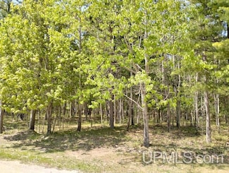 10490 Breezy R 22 Ln, Rapid River, MI 49878