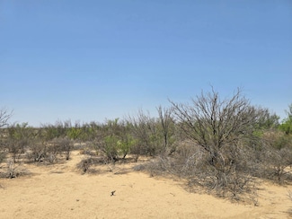 551 Spock Rd, Terlingua, TX 79852