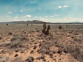 28551 W Hondo Rd, Seligman, AZ 86337