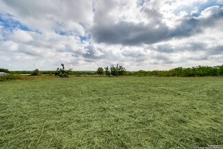 10066 Hildebrandt Rd, San Antonio, TX 78222