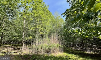 7893 Leaser Rd, Kempton, PA 19529