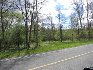 0 N 42nd St, Augusta, MI 49012
