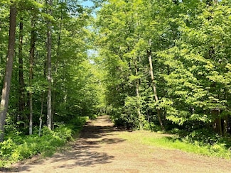 74564 Cane Creek Rd, Kettle River Township, MN 55704