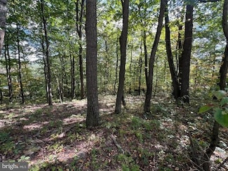 Lot 31 Woodlawn Dr, Crystal Spring, PA 15536