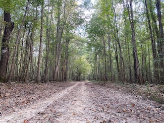 0 Big Cedar Creek Rd, Lucedale, MS 39452